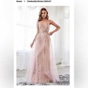Cinderella Divine CD0147 Dress